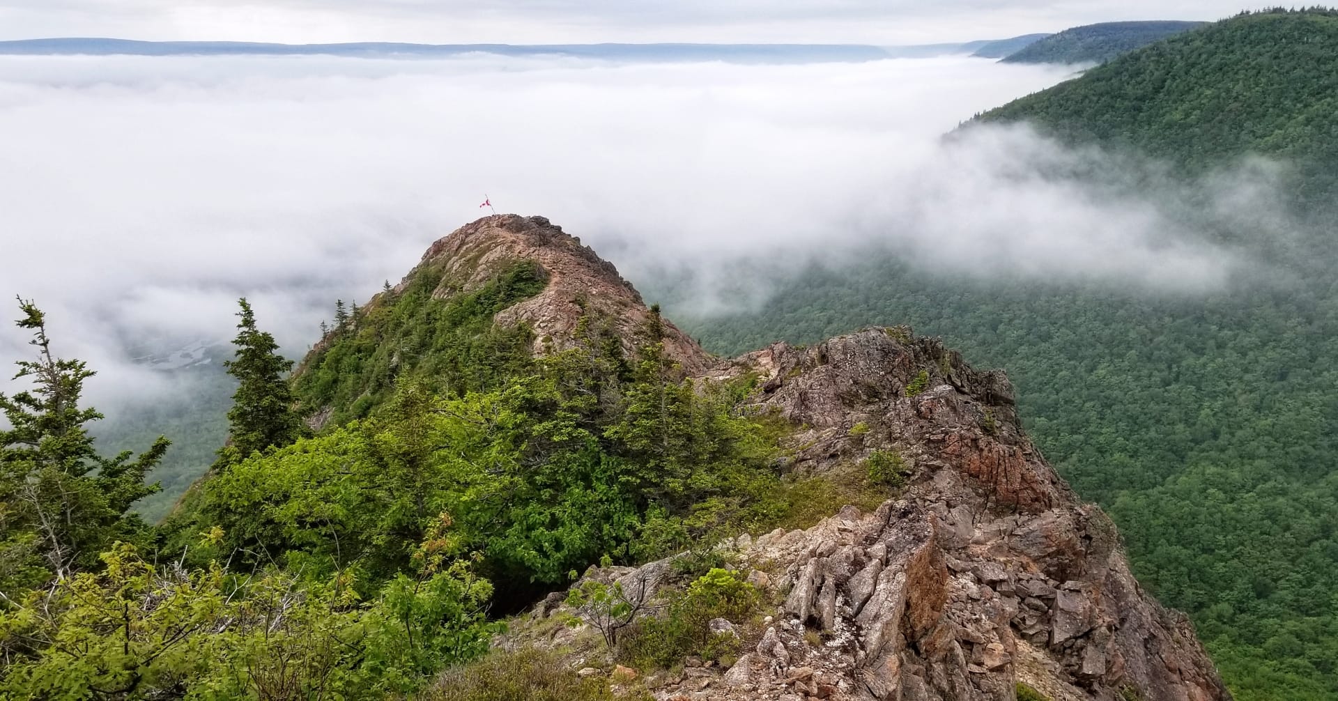 Fog rolls in over a dense forest and rocky mountain