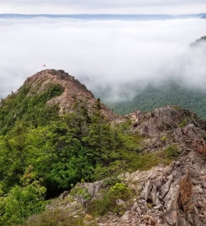 Fog rolls in over a dense forest and rocky mountain