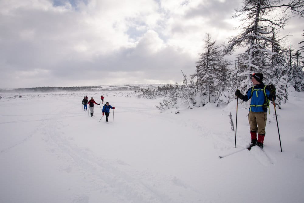 A group of people cross-country skiing