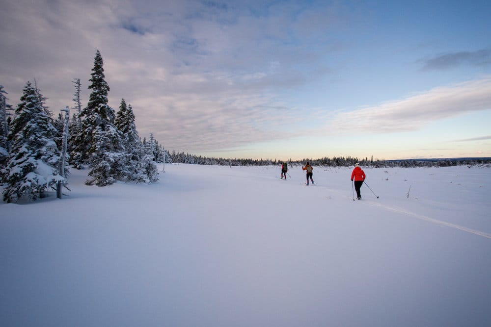 Winter