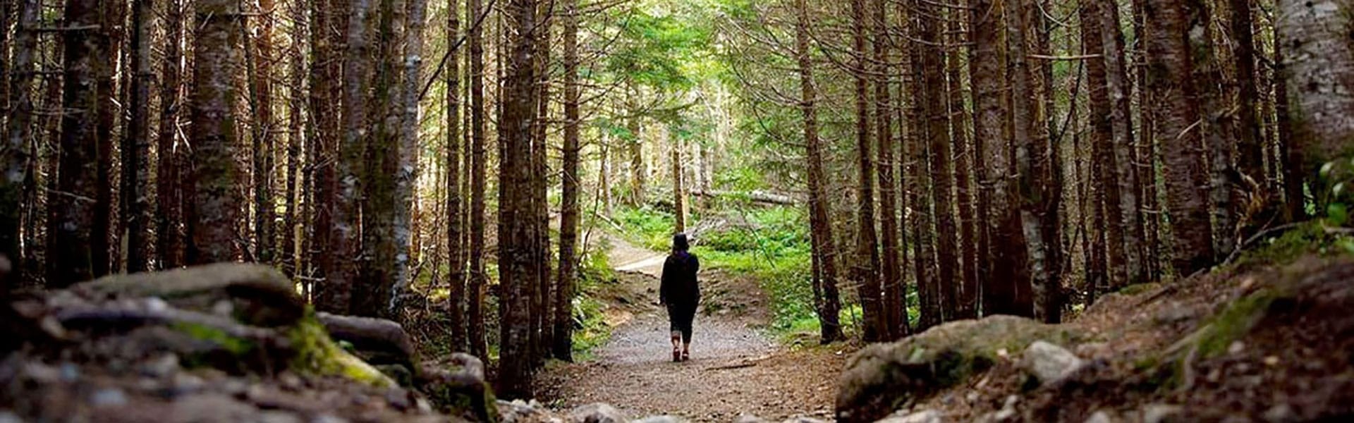 A woman walks down a trail in a dense forest