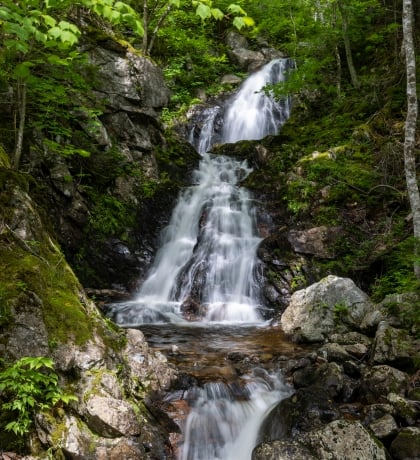 Corney Brook Falls and Trail