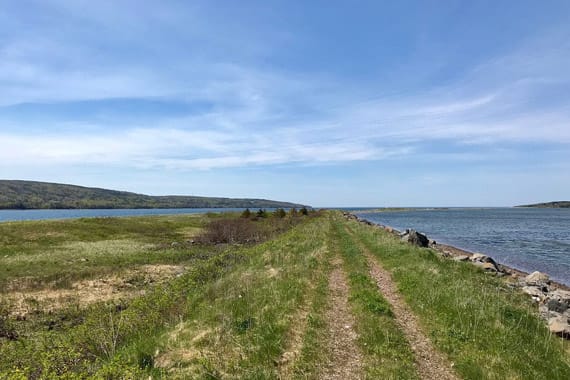 A grassy path that leads to the ocean