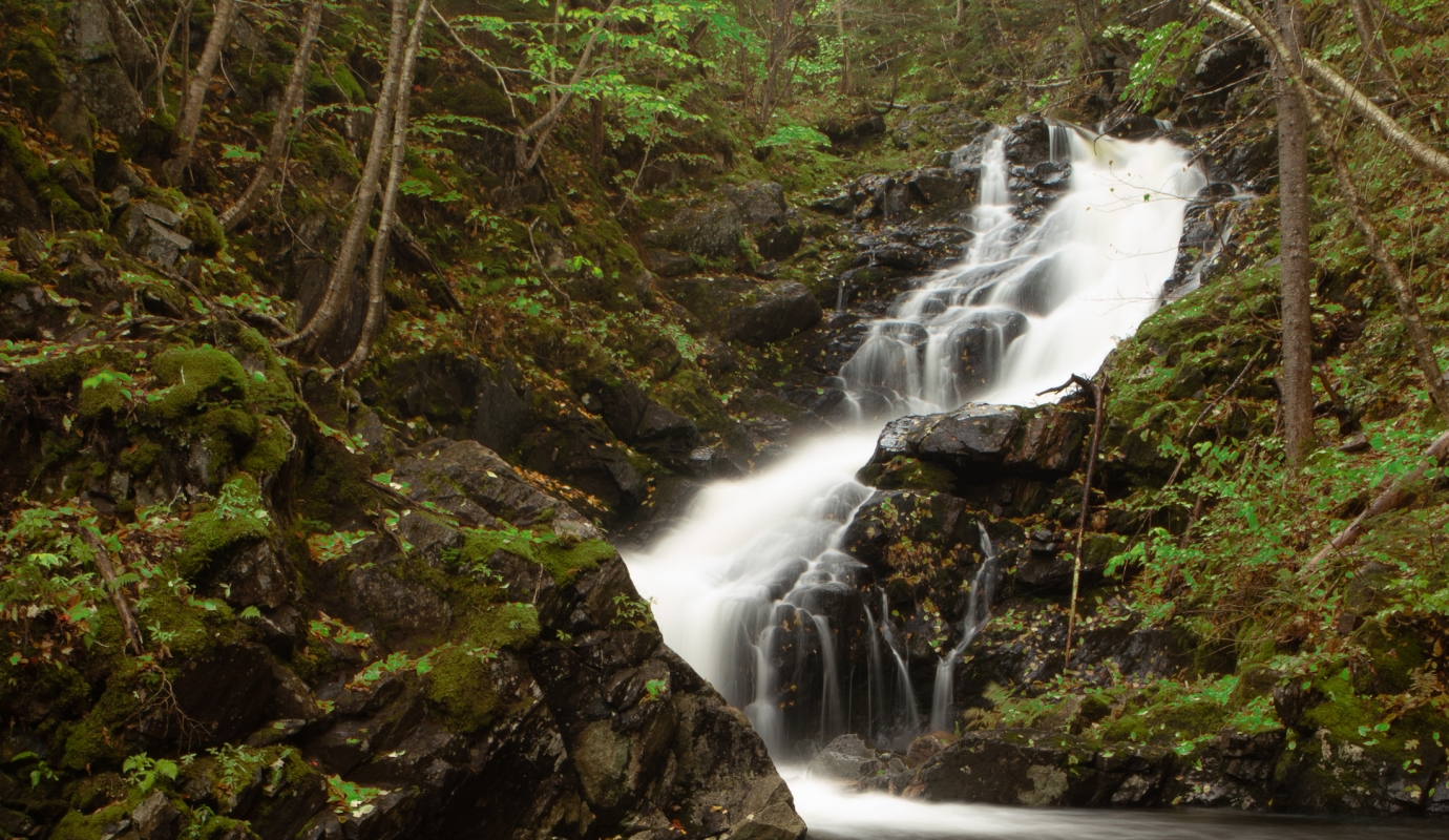 MacIntosh Brook Trail 1