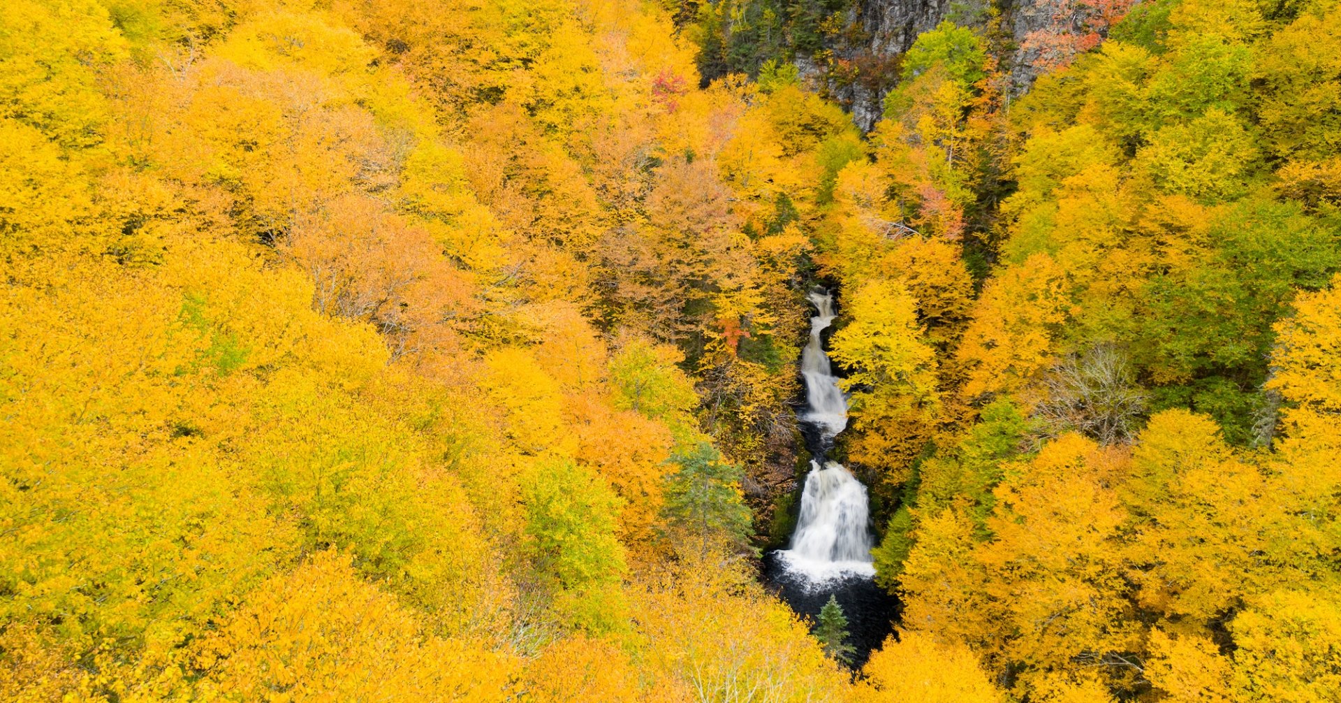 Through the fall coloured leaves a waterfall emerges