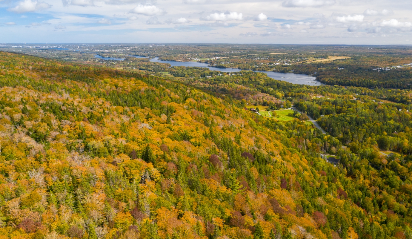Coxheath Mountain
