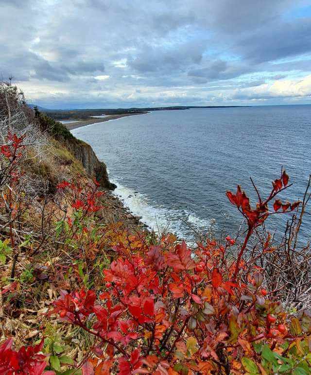 5 Picture Perfect (Easy!) Fall Hikes 2