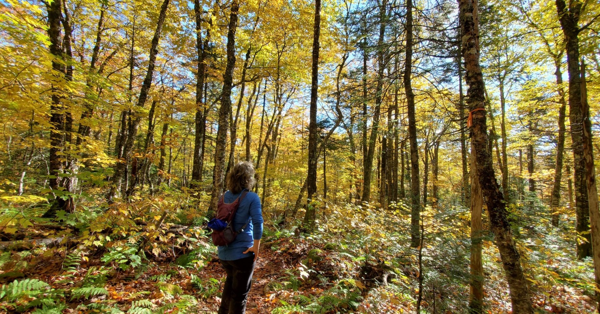 Explore the Bras d'Or - A Fall Gem 6