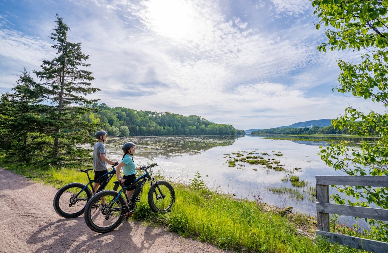 Mike's electric bikes deals