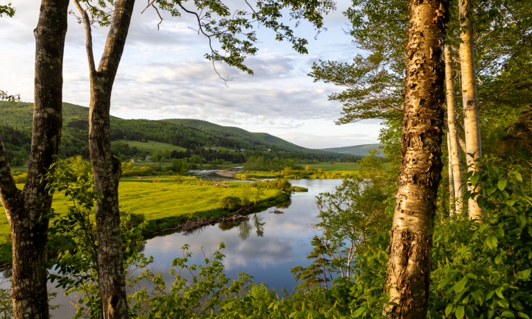 Rieker by the Shoe Tree Destination Cape Breton