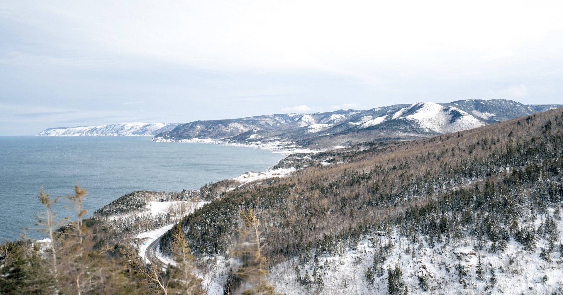 Winter Gems - Paradise Found in Pleasant Bay 5
