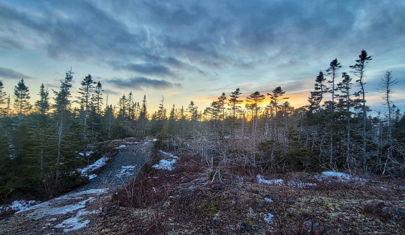 Winter Gem - Wild(life) Weekends! 1