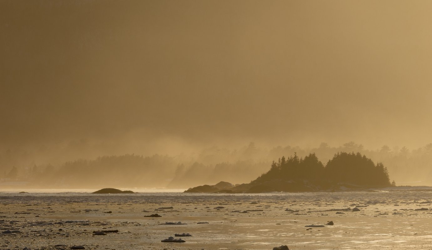 Winter Gem - I'd rather be fishing! 16