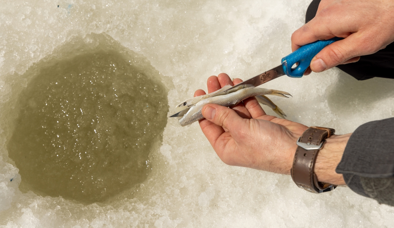 Winter Gem - I'd rather be fishing! 5