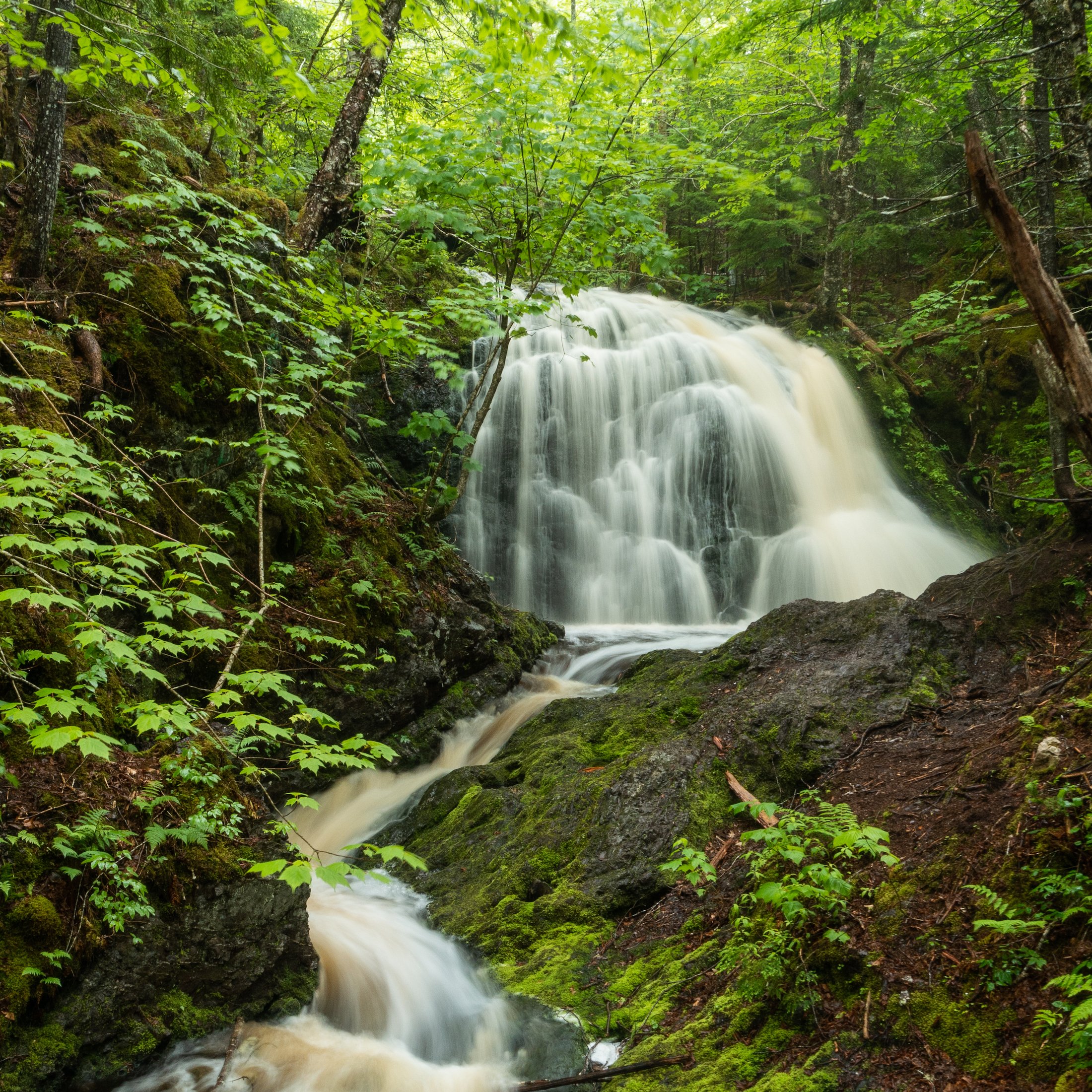 Devil's Hill Falls
